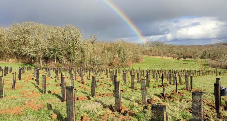 La Forêt des 2 mondes et la forêt-jardin de Katia Bourdarel et Sylvain Ciavaldini