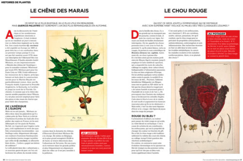 ADJH_0242_020_021 ADJH_0242_020_021