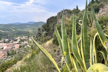 Jardin remarquable de Roquebrun