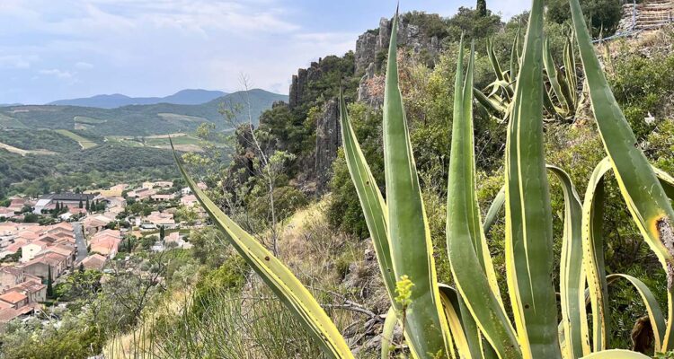 Jardin remarquable de Roquebrun