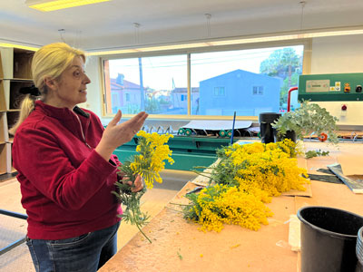 Cécile Reynaud La Colline des Mimosas ©V.Collet mimosiste - Cécile Reynaud préparant des bouquets ©Valérie Collet