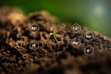 One health : ces sols où nos maladies prennent racine