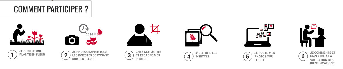 spipoll Comment participer à SPIPOLL