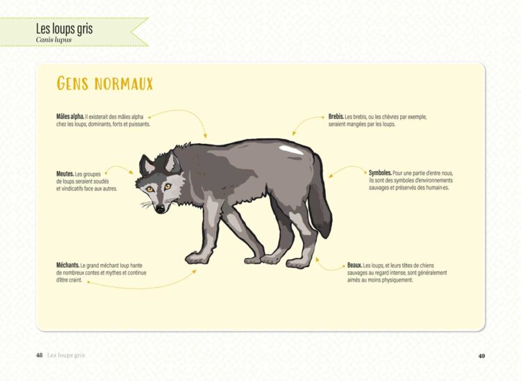 visuels-Le-Loup_Page_1 visuels-Le-Loup_Page_1