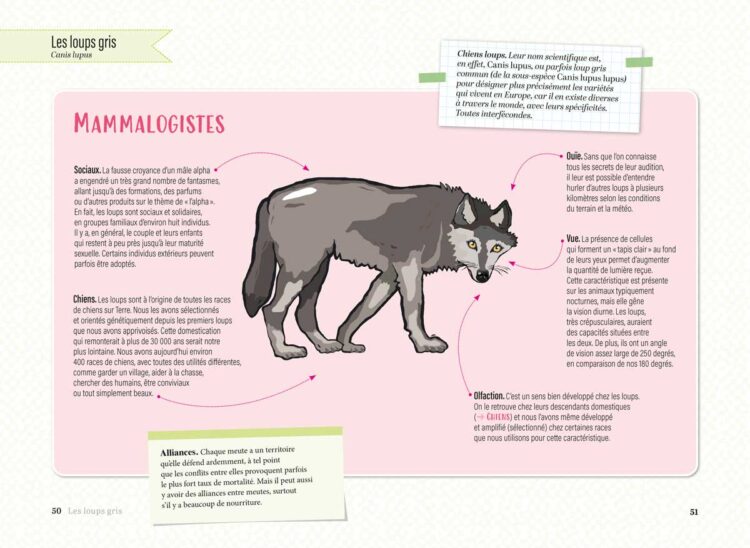 visuels-Le-Loup_Page_2 visuels-Le-Loup_Page_2