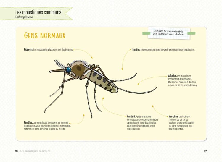 visuels-Le-Moustique_Page_1 visuels-Le-Moustique_Page_1