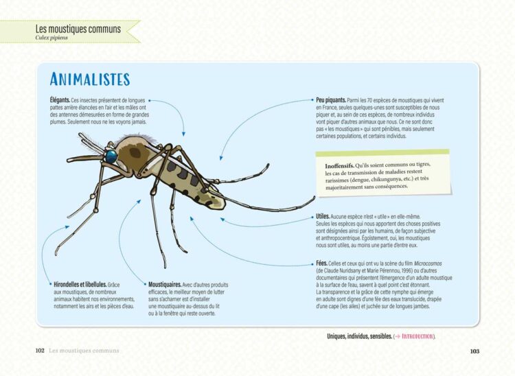 visuels-Le-Moustique_Page_4 visuels-Le-Moustique_Page_4