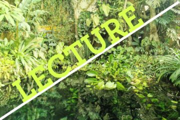 Lecture : Par le chemin des Indes