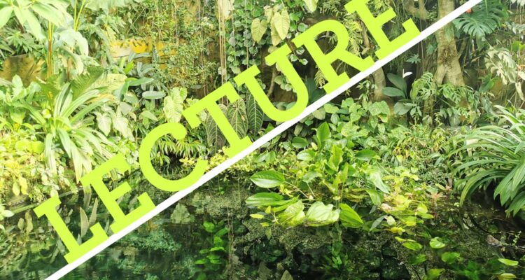 Lecture : Par le chemin des Indes