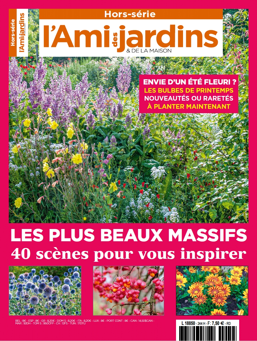 Capture d’écran 2025-04-23 à 17.50.14-Edit Capture d’écran 2025-04-23 à 17.50.14-Edit