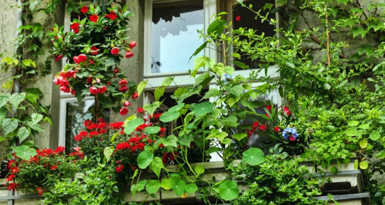 Balcon urbain