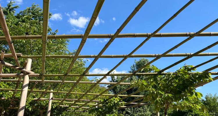 Pergola • la Bambouseraie en Cévennes