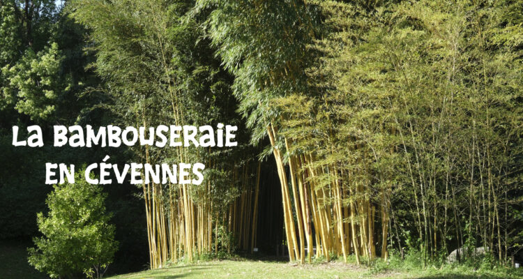 La bambouseraie en cévennes