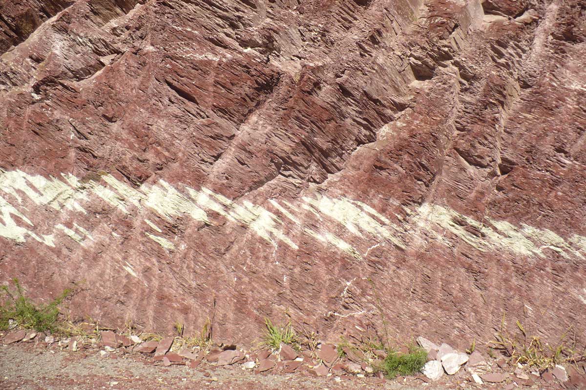Arboretum du Roure • Les pélites de l'arboretum