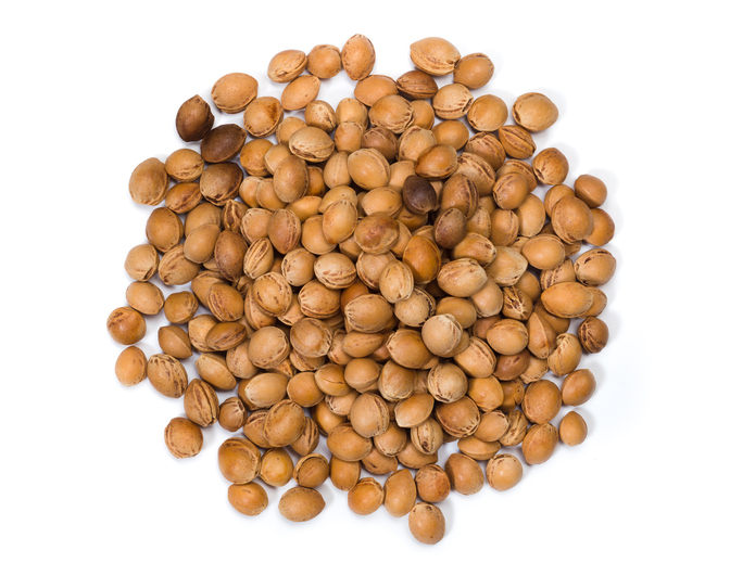 noyau cerise - SimoneN ©SimoneN