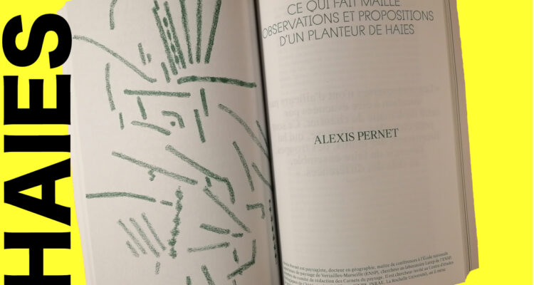 Les haies • pages intérieures