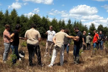 Haute-Vienne, évaluation d'un paillage à partir de cheveux et de laine de mouton.