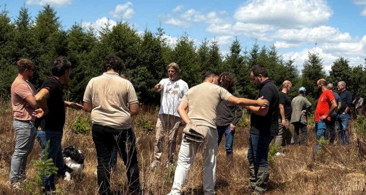 Haute-Vienne, évaluation d'un paillage à partir de cheveux et de laine de mouton.