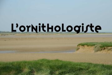 Jean Delacour • Baie de Somme • ornithologiste