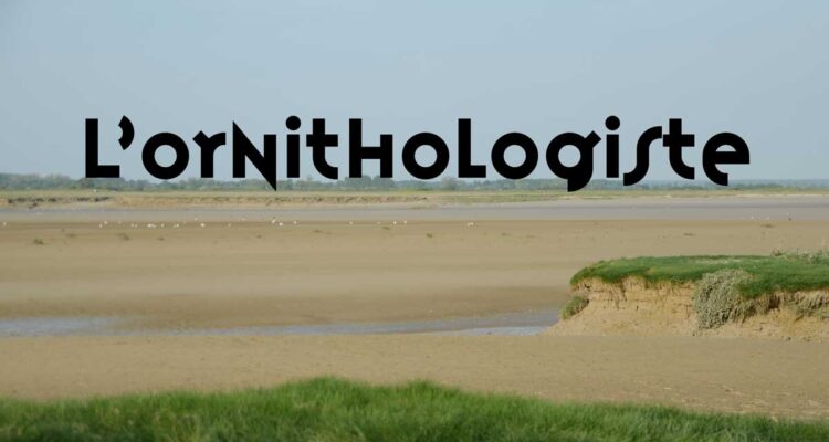 Jean Delacour • Baie de Somme • ornithologiste
