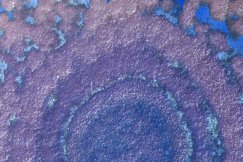 Trichoderma-harzianum-ok Trichoderma harzianum