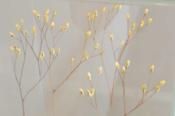 Sophie Blanc • œuvre