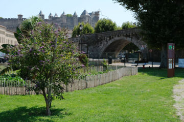Jardin des plantes tinctoriales de Carcassonne