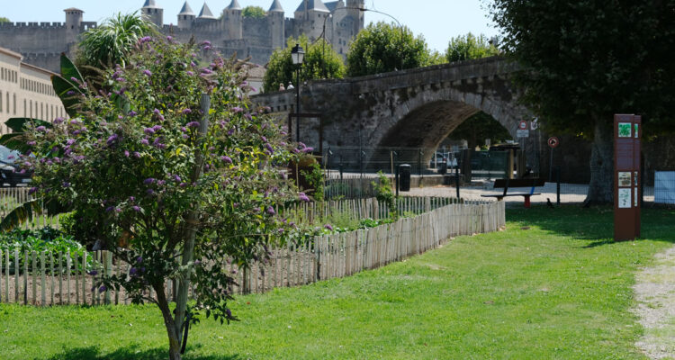 Jardin des plantes tinctoriales de Carcassonne