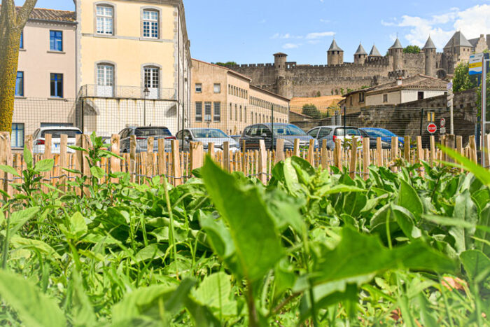 ©Tourisme-Carcassonne-jardin6 ©Tourisme-Carcassonne-jardin6