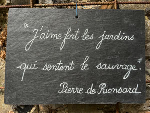 Ardoise-poétique-Herbarium-Saint-Valéry-sur-Somme-©V.COllet Ardoise poétique ©V.Collet