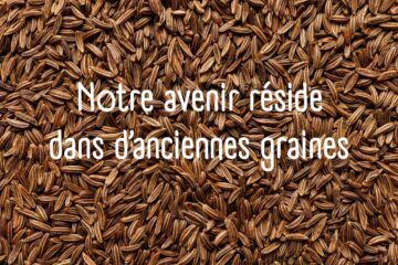 Des semences paysannes pour notre avenir alimentaires