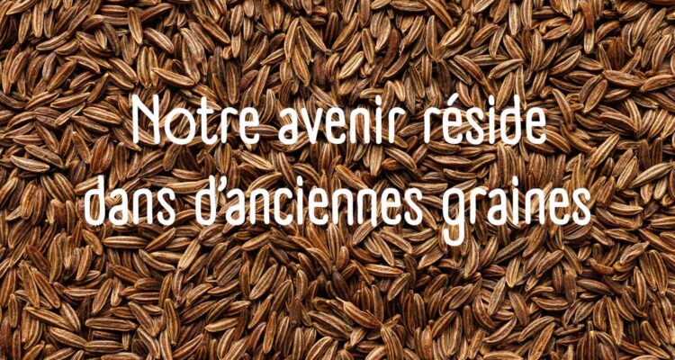 Des semences paysannes pour notre avenir alimentaires