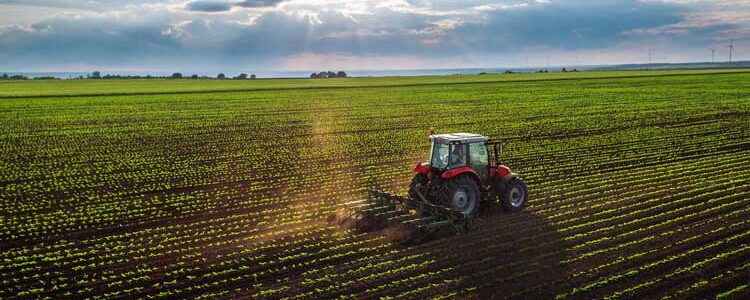 Champ-agrochimie-valio84sl-iStock-543212762 Agriculture fondée sur la chimie