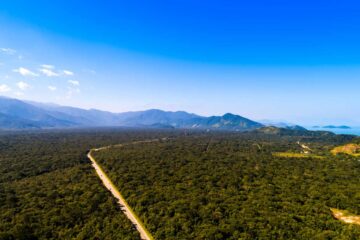 L'Amazonie vue du ciel