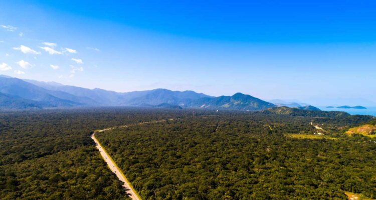L'Amazonie vue du ciel