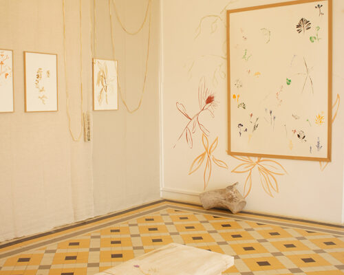 Domaine du Rayol : exposition Un geste vers le bas d'Eve Pietuschi