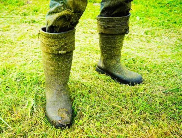 Herbe-Maksim-Safaniuk-iStock-2228534562 Bottes couvertes de brins d'herbes