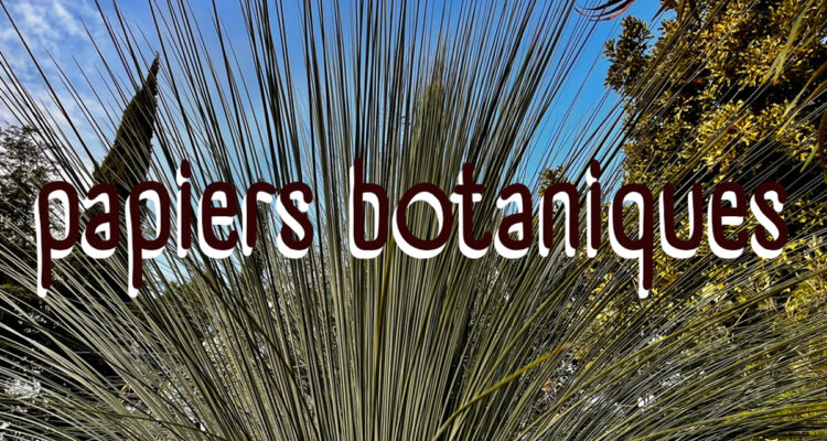 PAPIERS BOTANIQUES
