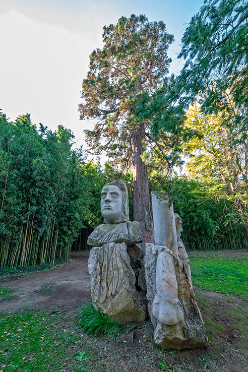 Jardin des plantes des Capellans - Saint Cyprien-sequoiadendron giganteum-by Didier Hirsch_DSW2786-500x750 ©Didier Hirsch