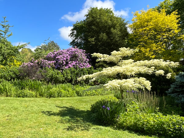 Jardin-des-Renaudies-2-©Valérie-Collet Arbustes au printemps Jardin des Renaudies ©Valérie Collet