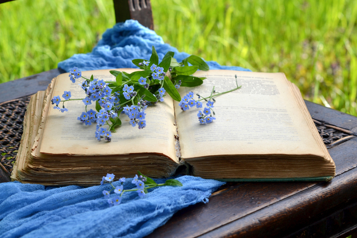 myosotis - Nataliia_Eina ©Nataliia_Eina