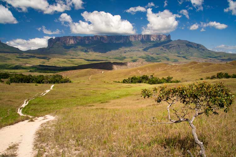 savane-Depositphotos_355692594_S Paysage de savane, La montagne de la table Roraima, La Gran Sabana, Parc national de Canaima, Venezuela