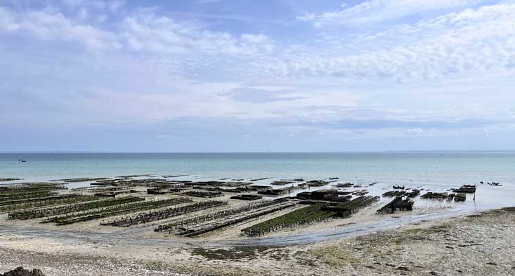 CASIERS Casiers à Huitres - Cancale - Mer