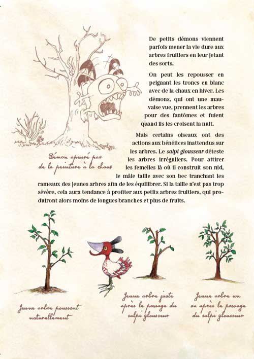 Manuel magique de mon jardin-page-02 Manuel magique de mon jardin • Éric Lenoir • Un terrain de jeu
