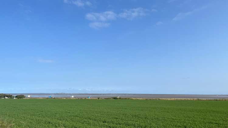 TERRE-MER Presqu'île de Crozon