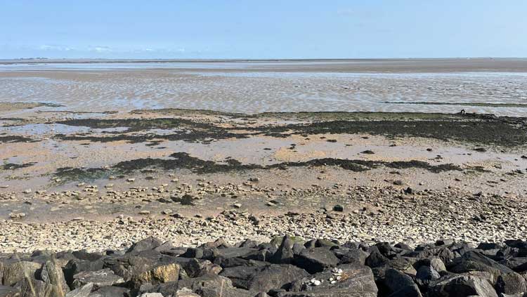 TERRE-MER1 Presqu'île de Crozon