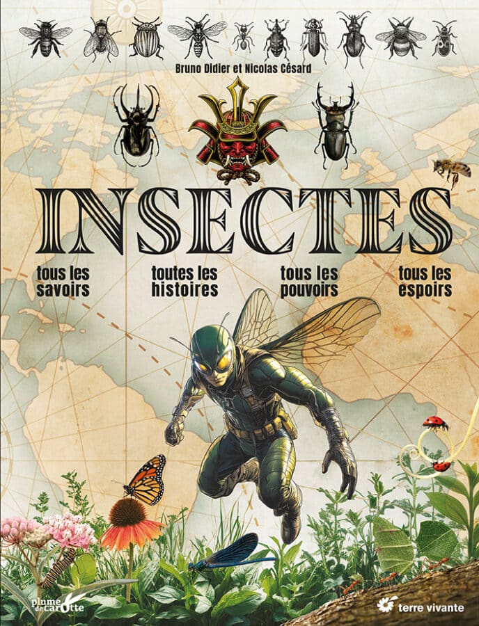 9782360989553-688x900 Insectes • Couverture