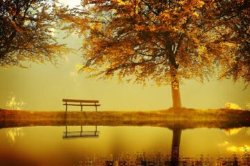 étang en automne