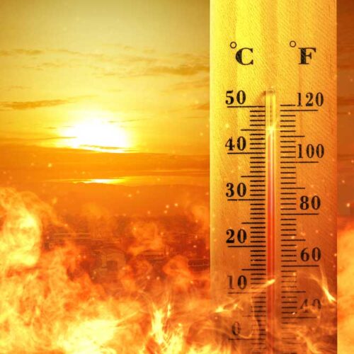 Canicule-Depositphotos_320017074_S La canicule rend la vie vulnérable