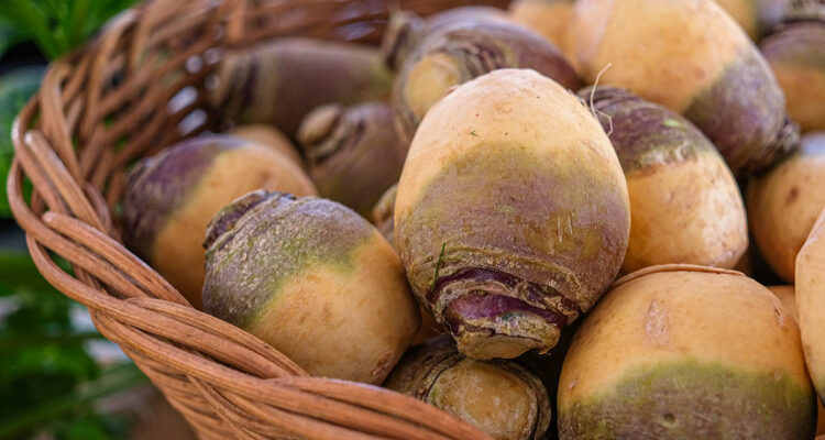 Rutabaga